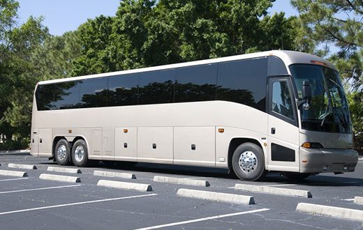 Coach Bus Rentals For School Field Trips In Joliet