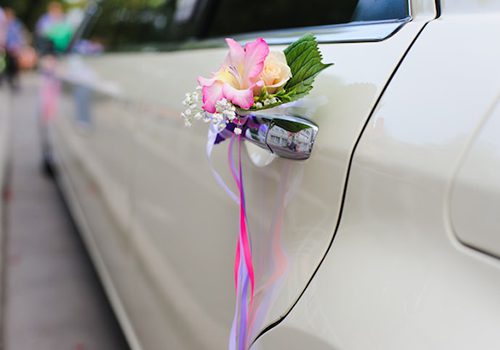 Customization Options In A Stretch Limo For Wedding In Crystal Lake