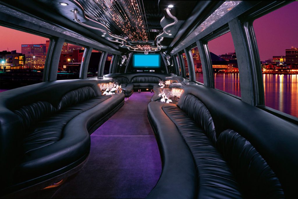 Party Bus Chicago, Chicago Party Bus, Shuttle Bus Chicago, Mini Coach, White Shuttle, Airport Shuttle Bus, Transportation