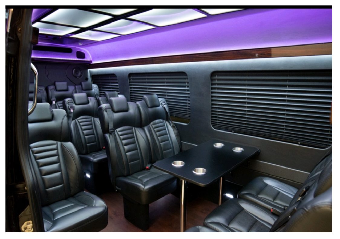 Sprinter VIP Coach, Frankfort Limousine Services