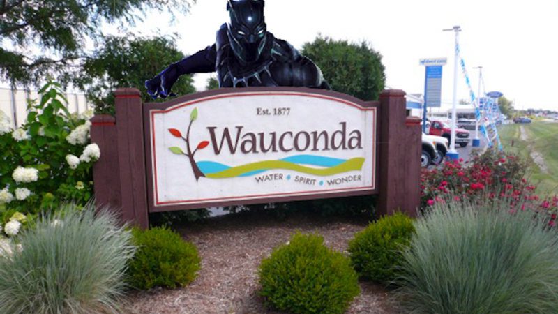 Wauconda Limousine Services