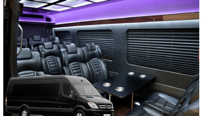 Sprinter Executive VIP Coach